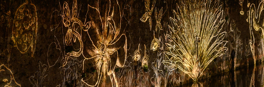 Métamorfaune - Quai et lavoir Gloriette Métamorfaune - Quai et lavoir Gloriette