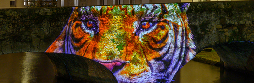Le pont de singes - Pont Bouju - Chartres en lumières Le pont de singes - Pont Bouju - Chartres en lumières
