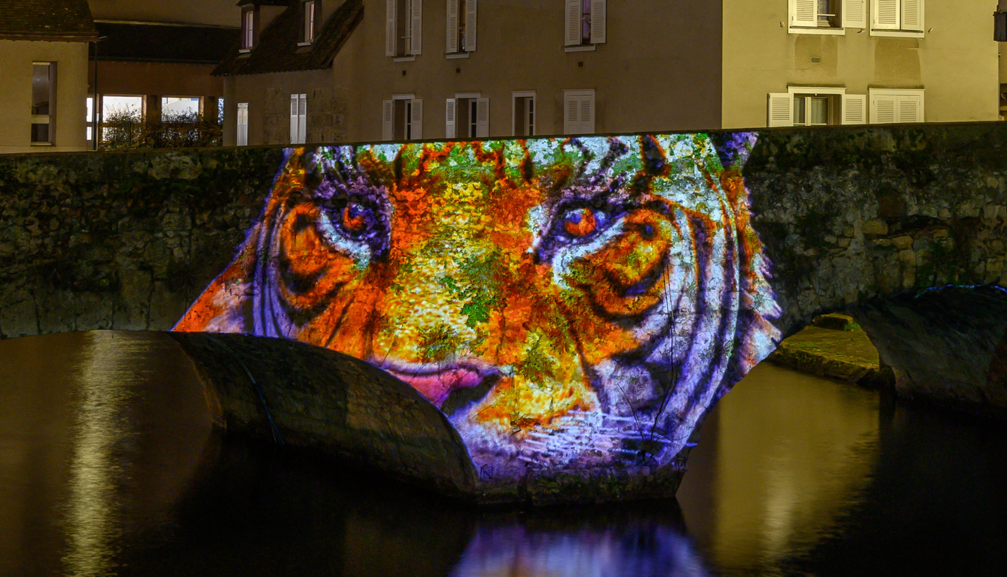 Le pont de singes - Pont Bouju - Chartres en lumières Le pont de singes - Pont Bouju - Chartres en lumières