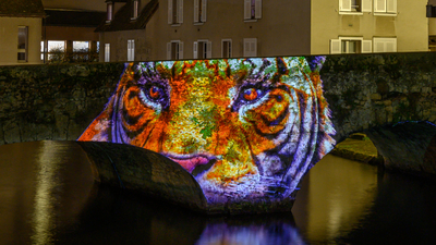 Le pont de singes - Pont Bouju - Chartres en lumières