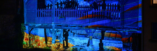 Faunes et flores - lavoir grenouillère - Chartres en lumières Faunes et flores - lavoir grenouillère - Chartres en lumières