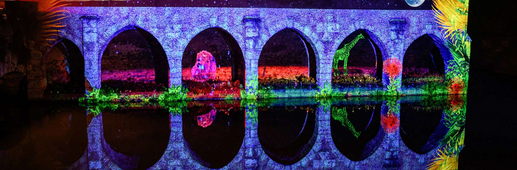 Les Arcades Saint-Hilaire - Faunes et flores Les Arcades Saint-Hilaire - Faunes et flores - Chartres en lumières