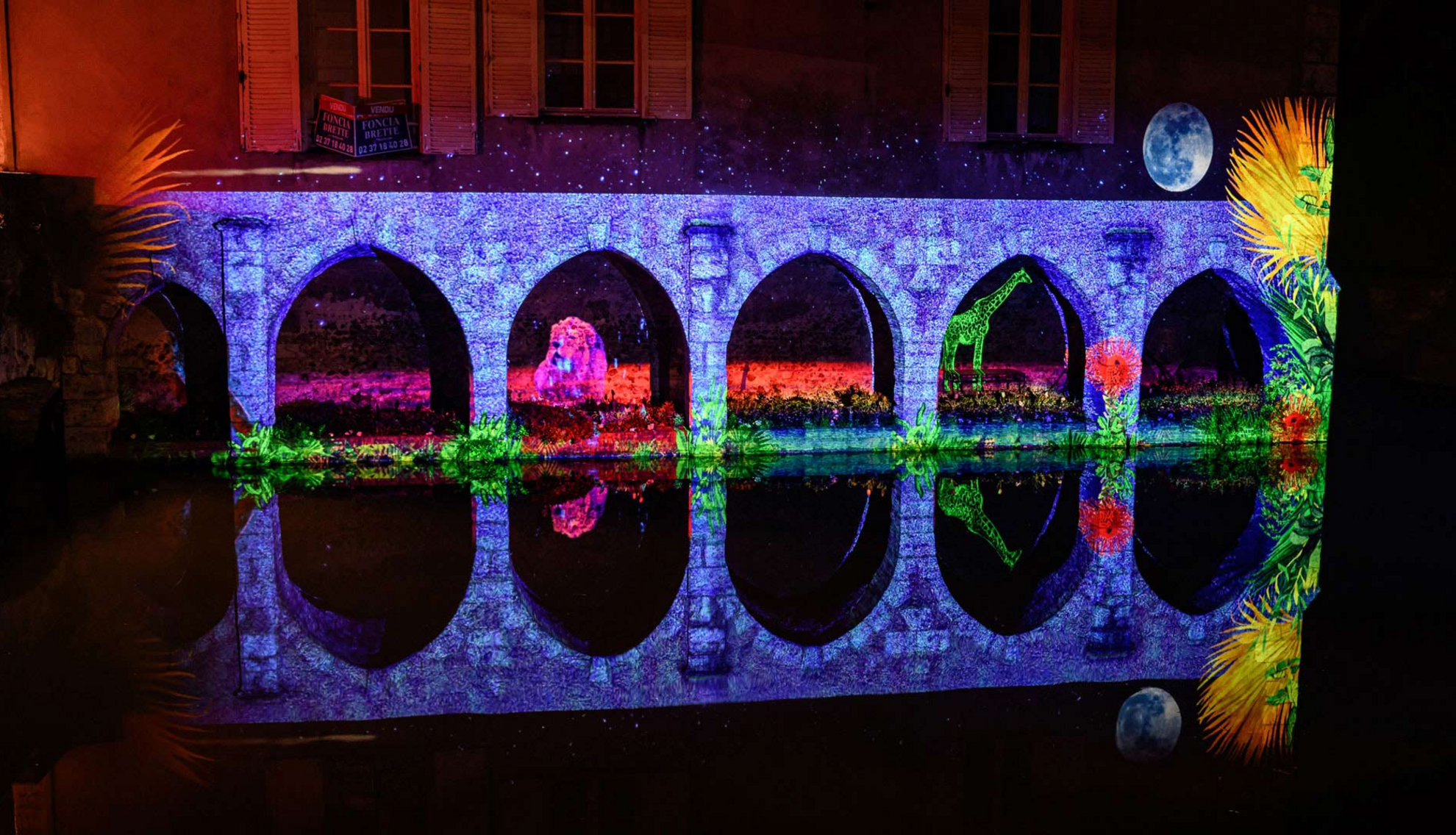 Les Arcades Saint-Hilaire - Faunes et flores Les Arcades Saint-Hilaire - Faunes et flores - Chartres en lumières