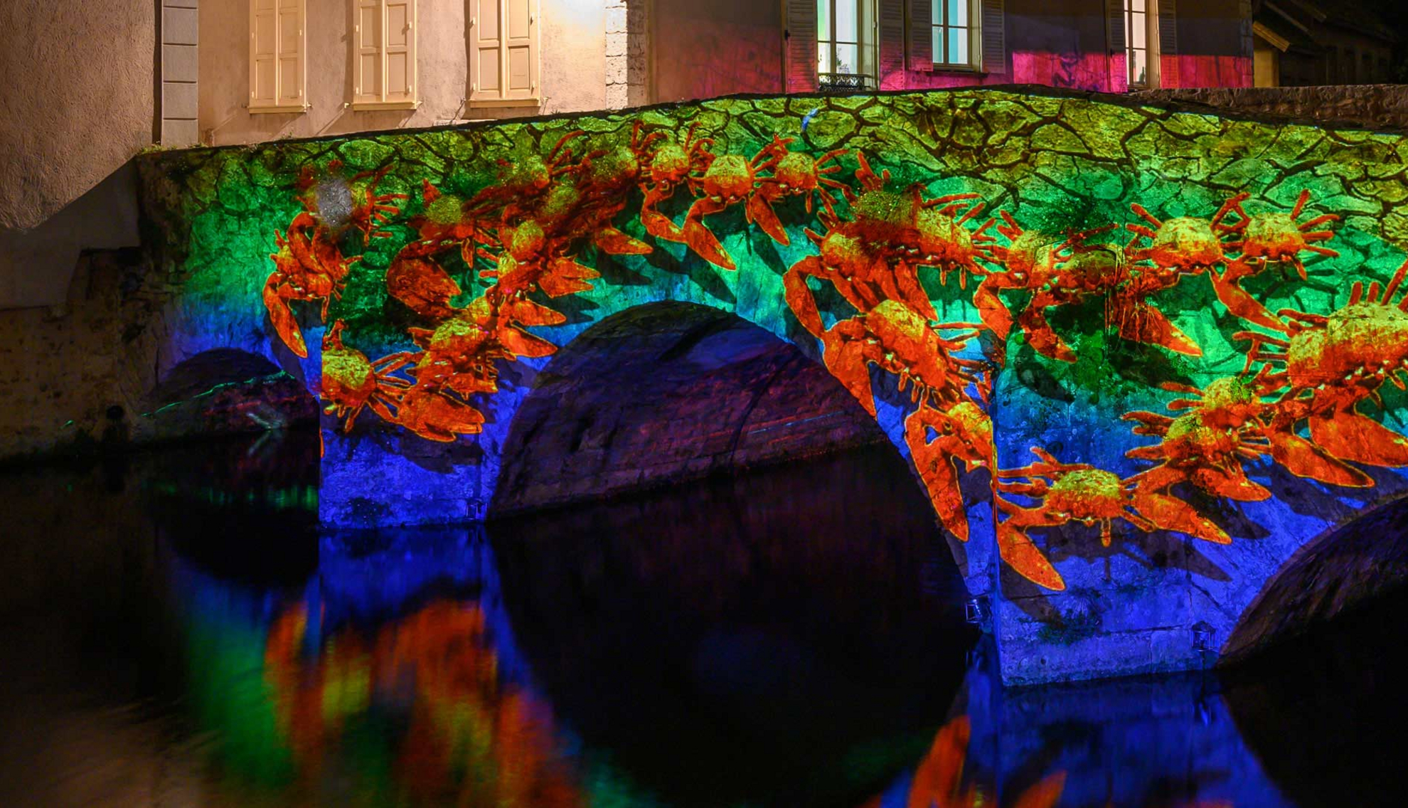Faunes et flores - pont Saint hilaire - Chartres en lumières Faunes et flores - pont Saint hilaire - Chartres en lumières