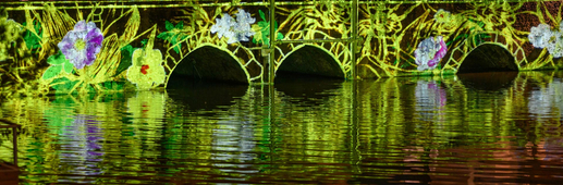 Lagune et amazone (Faune et flore) - Pont Saint-Père Lagune et amazone (Faune et flore) - Pont Saint-Père