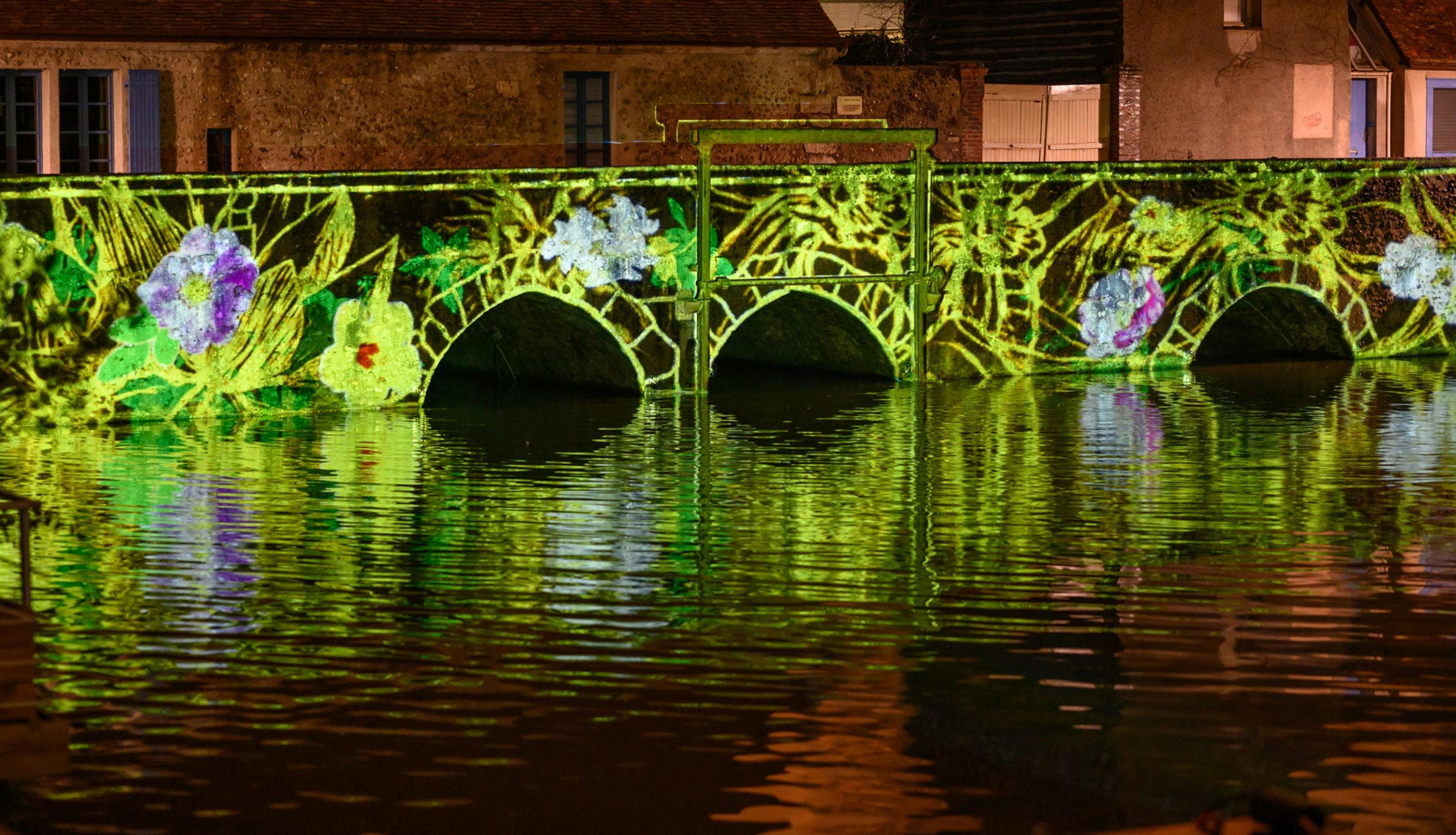 Lagune et amazone (Faune et flore) - Pont Saint-Père Lagune et amazone (Faune et flore) - Pont Saint-Père